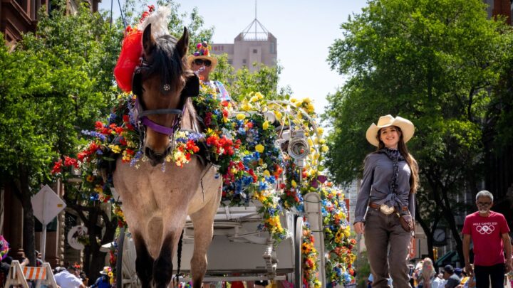 Everything You Need to Know about San Antonio’s Annual Fiesta Celebration in April